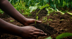 Farm-Hero-Featured-Images-5