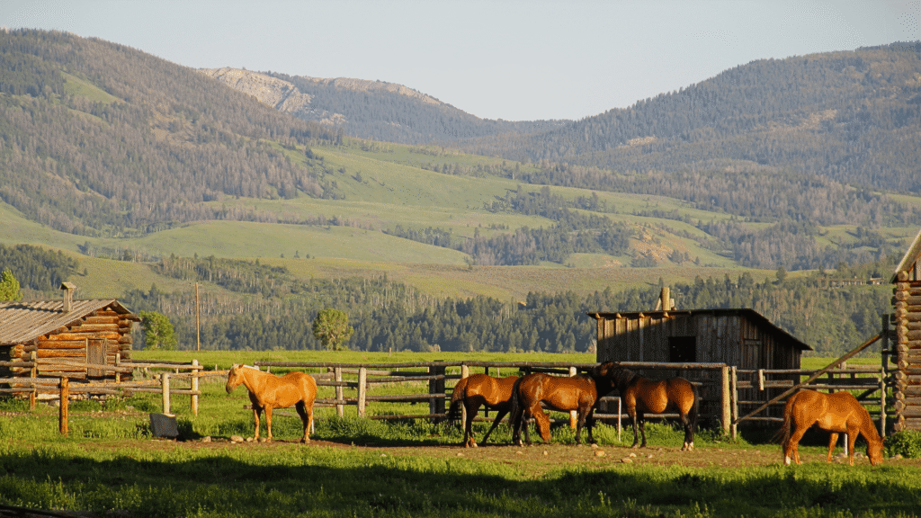 Farm-Hero-Featured-Images-7