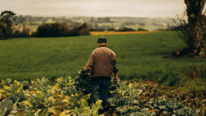 Farm-Hero-Featured-Images-8