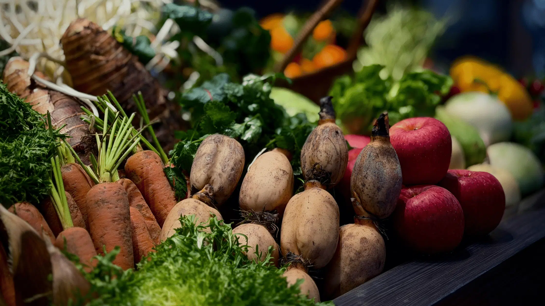 Why Topsoil Loss Is a Food-System Emergency