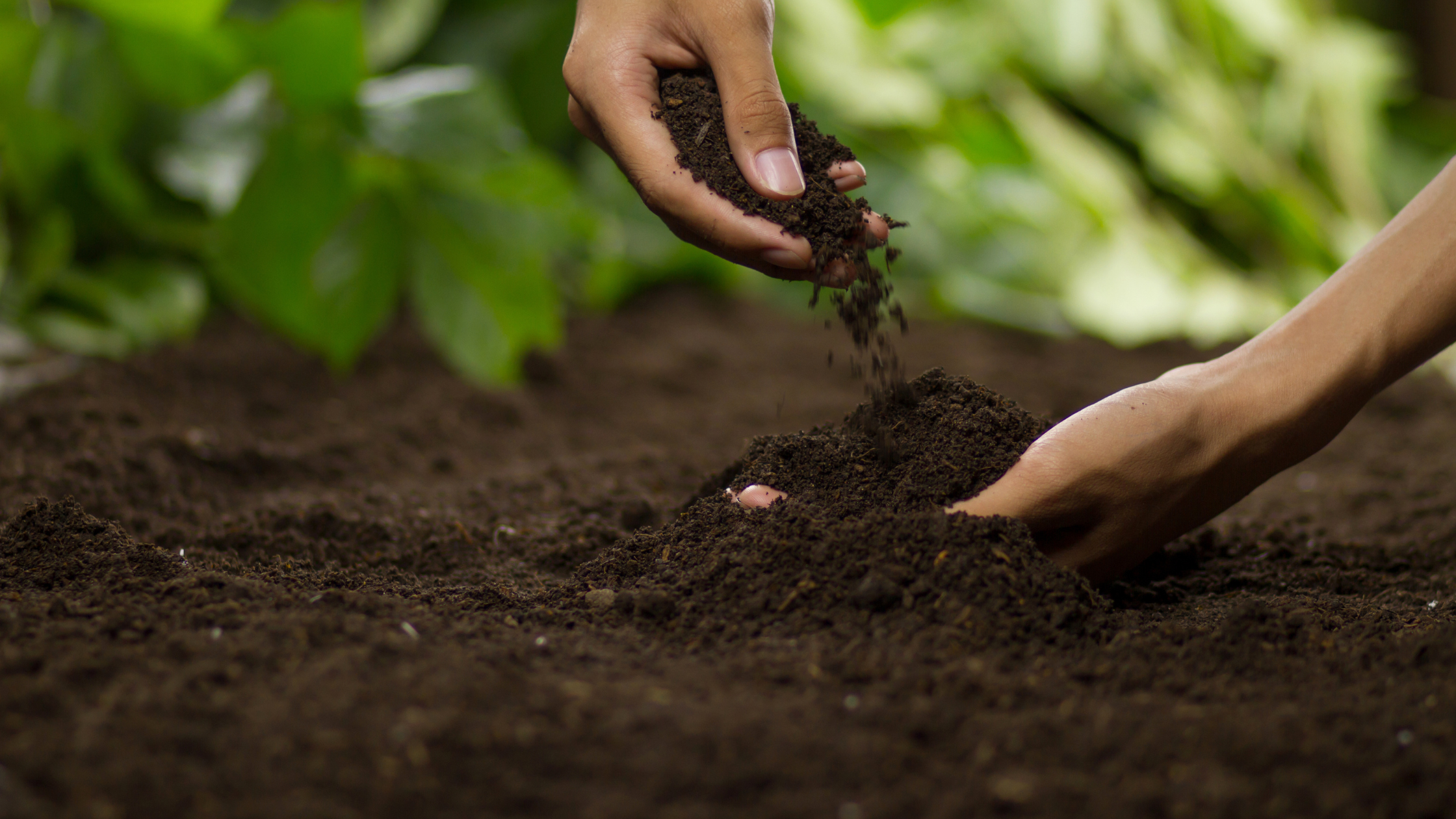 Why Soil Health Matters More Than Most People Realize