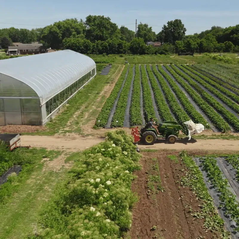 Farm on Central