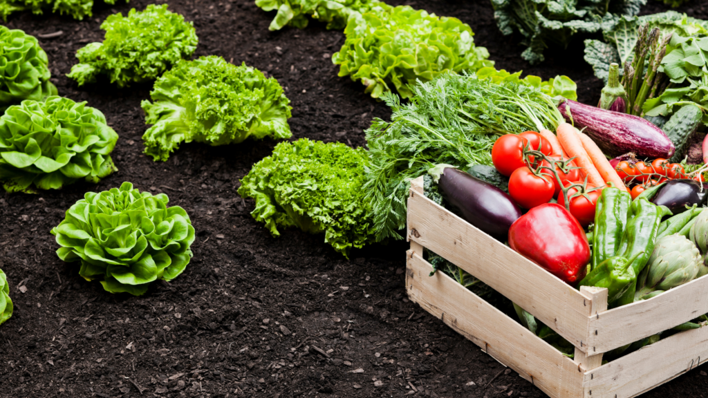 Global Food Companies Back New Regenerative Agriculture Framework as Supply Chains Push for Common Standards