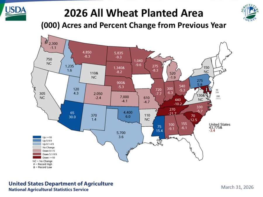 USDA NASS map showing U.S. all wheat planted area by state