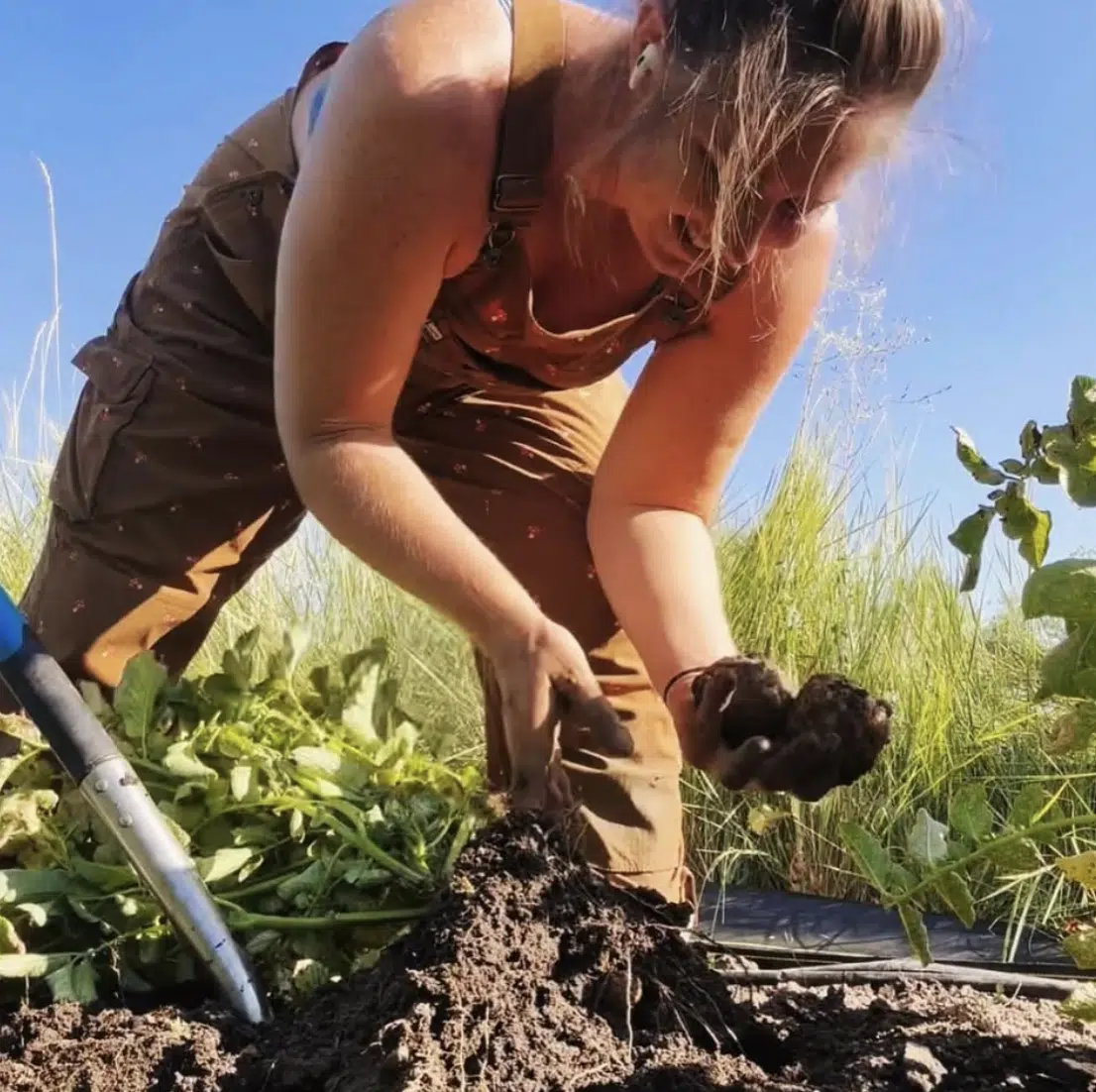 Blue Heron Farm Turns High-Desert Constraints Into a Regenerative Agriculture Model