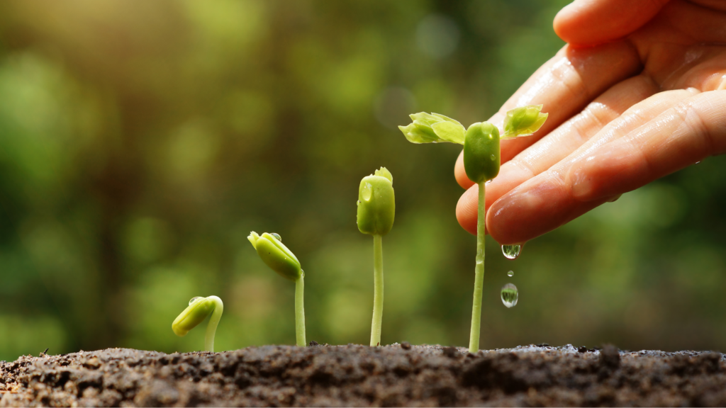 There Is No Single Path Into Regenerative Agriculture