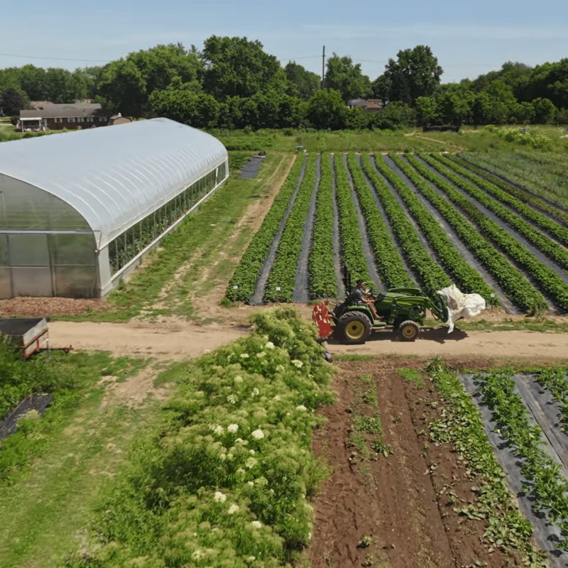 farm-on-central